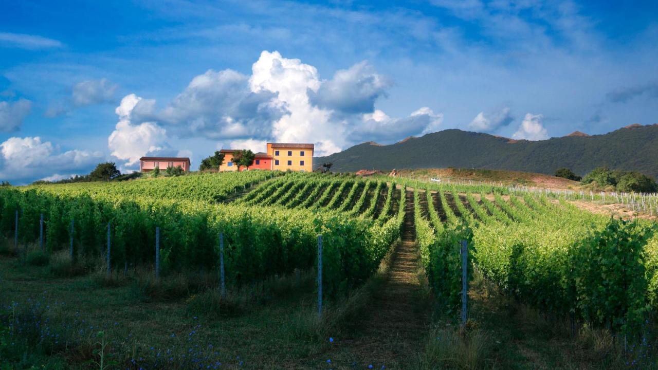 Tenuta Grimaldi Wine Resort Matelica Luaran gambar