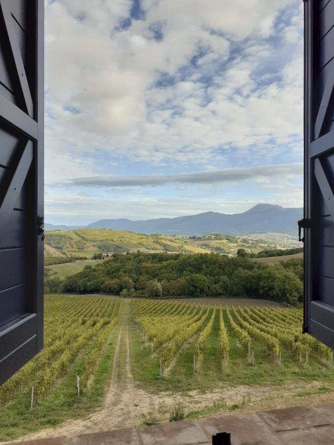 Tenuta Grimaldi Wine Resort Matelica Luaran gambar
