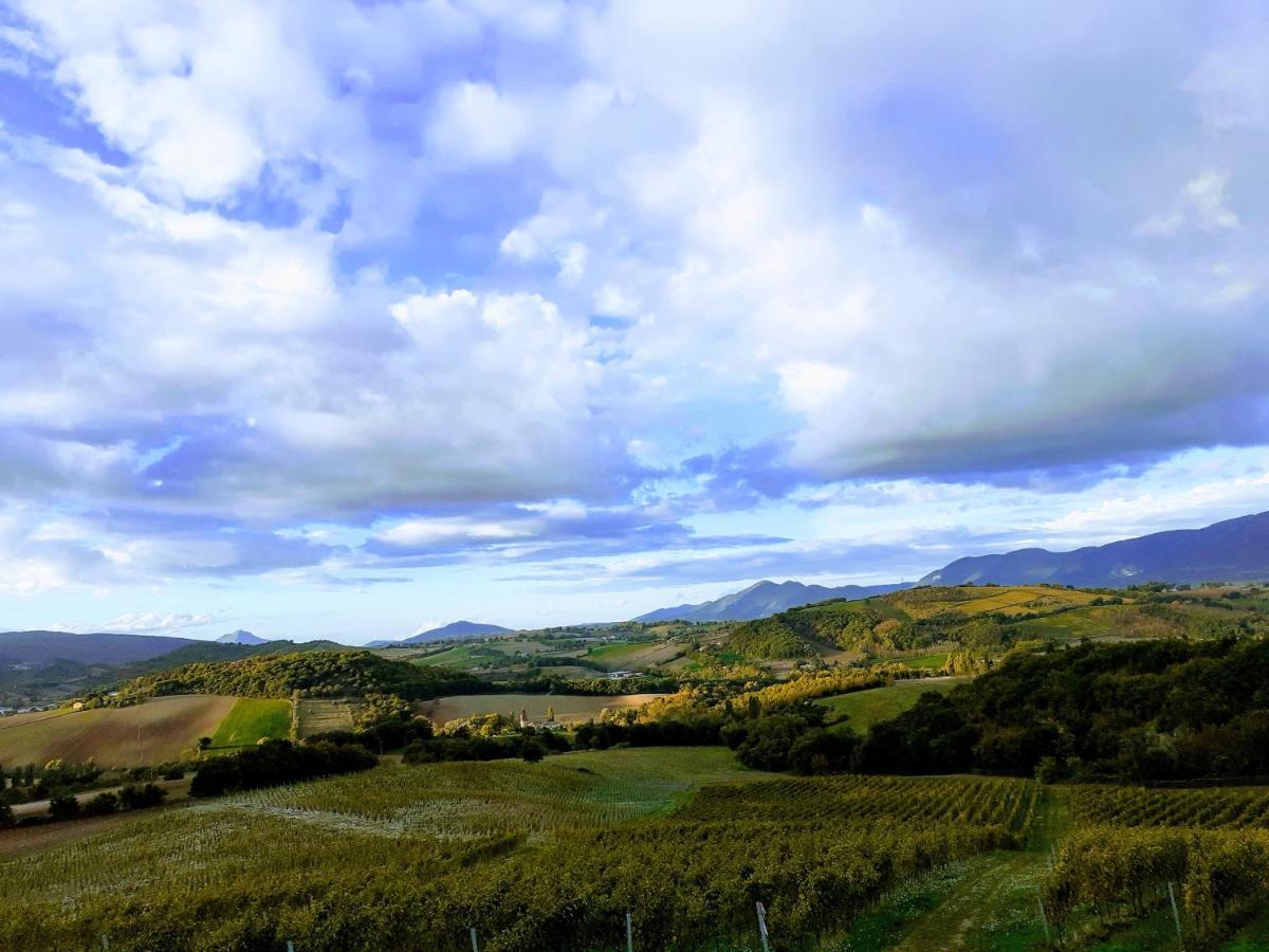 Tenuta Grimaldi Wine Resort Matelica Luaran gambar