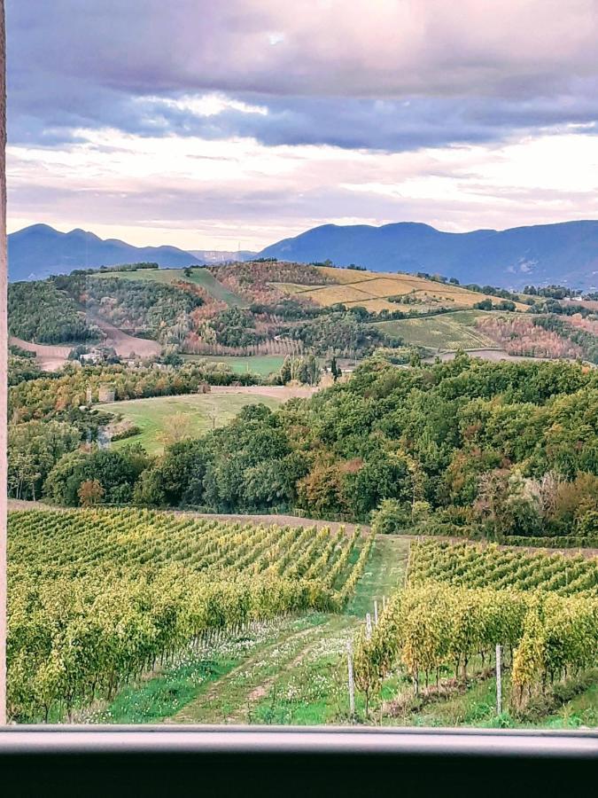 Tenuta Grimaldi Wine Resort Matelica Luaran gambar