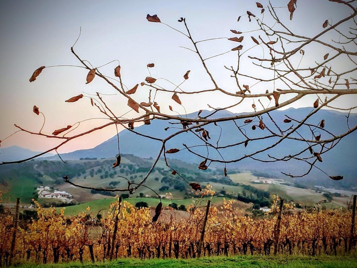 Tenuta Grimaldi Wine Resort Matelica Luaran gambar