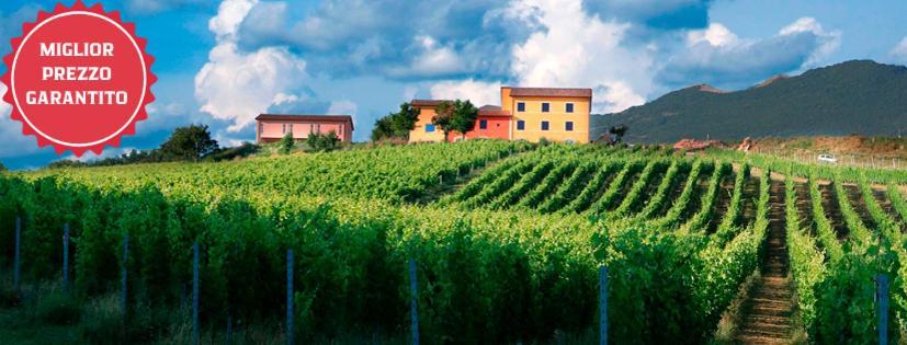 Tenuta Grimaldi Wine Resort Matelica Luaran gambar